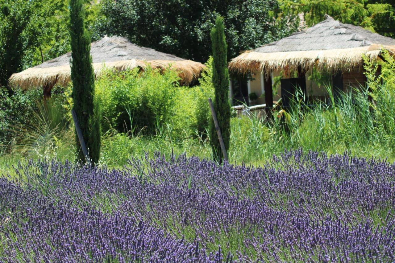 Lavand'Ange Et Spa Sarrians Luaran gambar