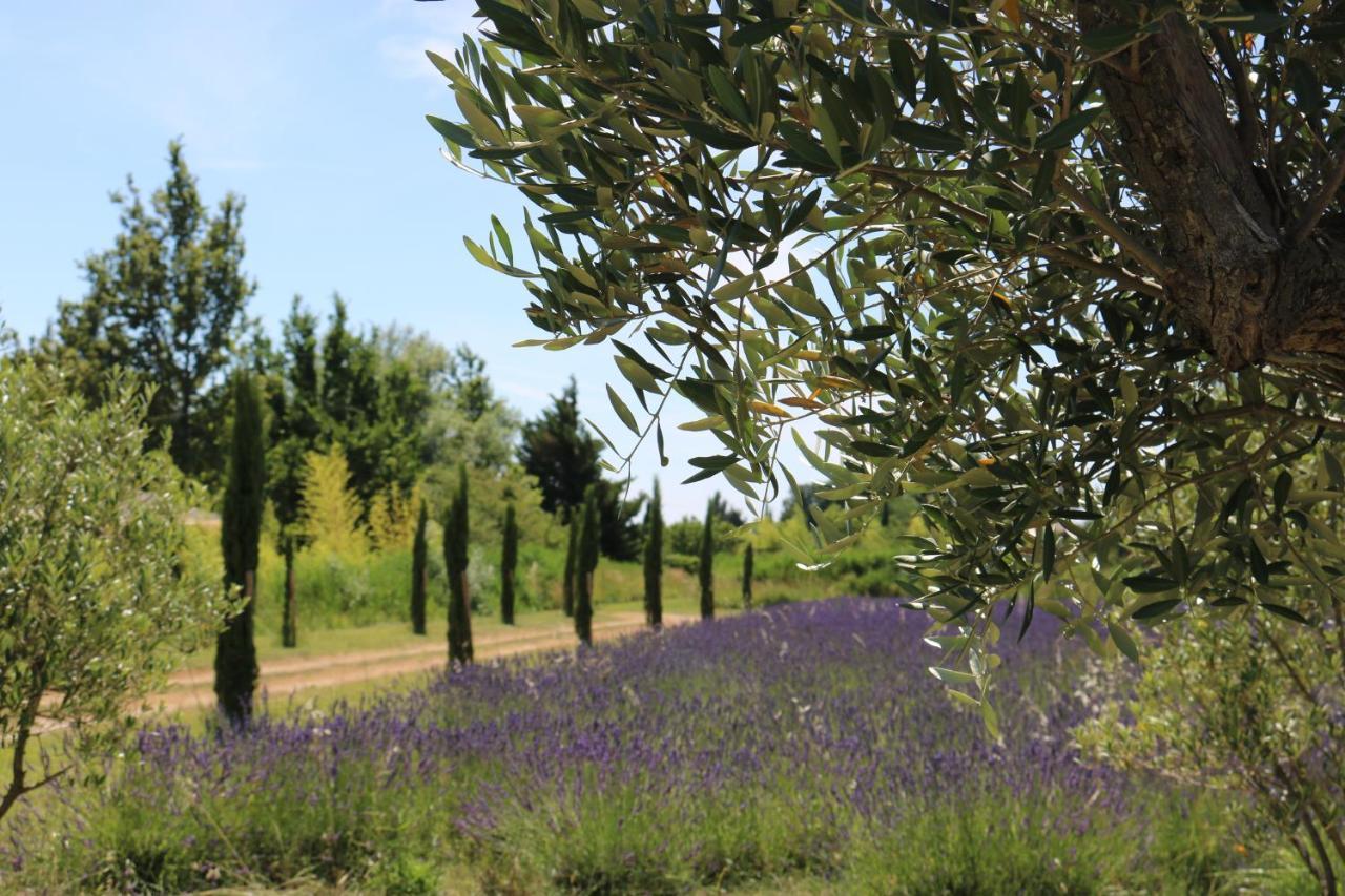 Lavand'Ange Et Spa Sarrians Luaran gambar