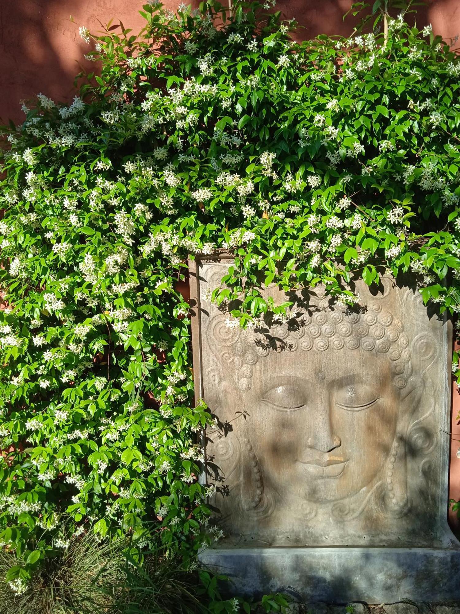 Lavand'Ange Et Spa Sarrians Luaran gambar